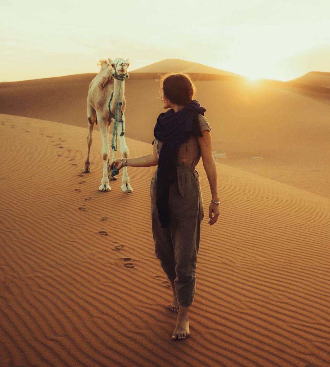 Camel walk experience during Dubai safari