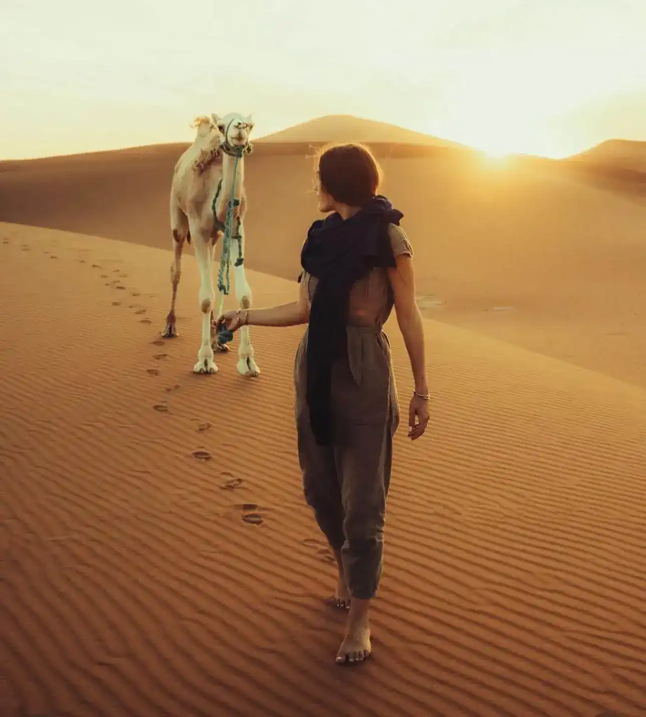Camel walk experience during Dubai safari
