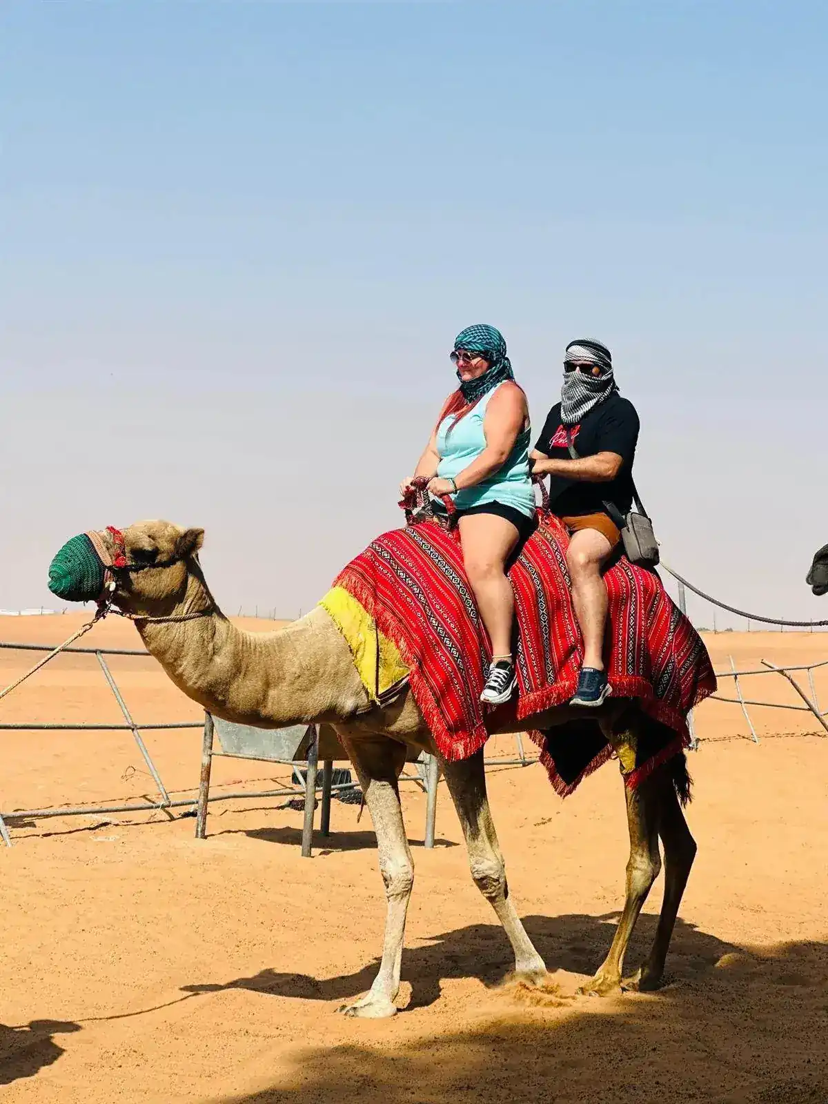 Camel ride tour in Dubai desert safari